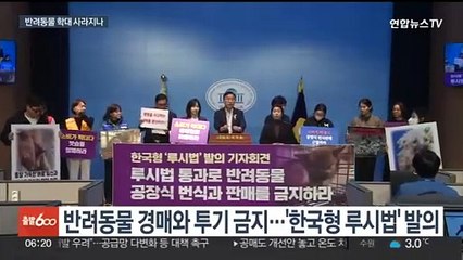 반복되는 반려동물 학대…'한국형 루시법' 해법 될까