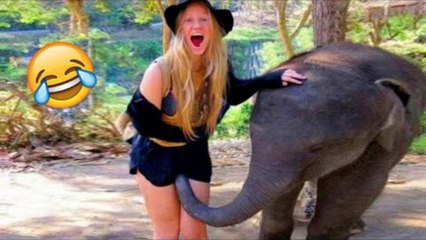 😂 Ultimate Funny & Hilarious People Fails Compilation #3