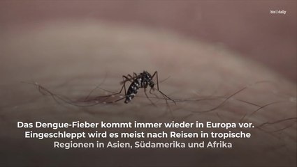 Impfung gegen dieses Fieber von Stiko empfohlen