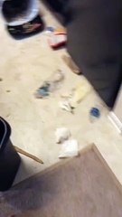 Dog Knows Did Wrong but Is Still Happy to See Owner