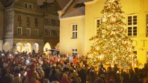 Odpalamy Święta w Olsztynie, rozbłysła choinka na Starym Mięście