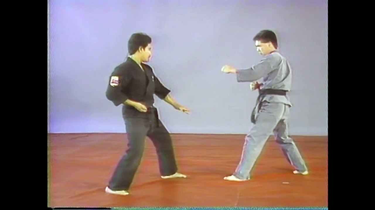 Mastering Lima Lama -Volume 1: Fundamental Lima Lama Techniques with Instructor Ted Tabura