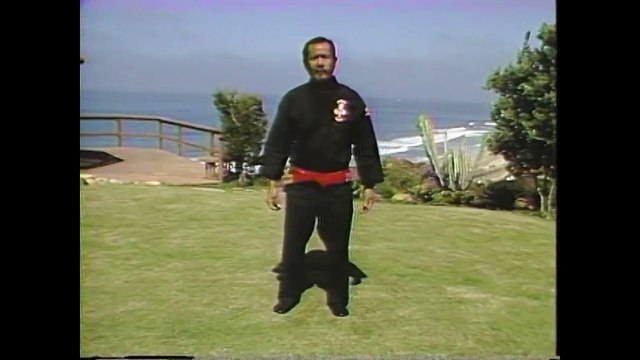 Kajukenbo -Volume 5: Defensive Techniques Against Punching Attacks with Instructor Gary Forbach