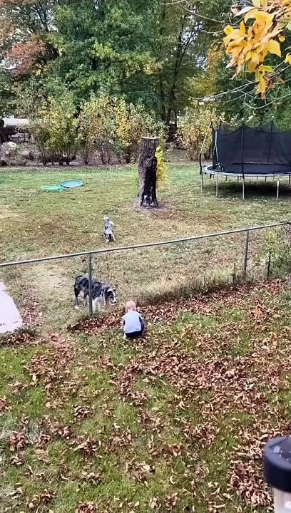 Watch the End
