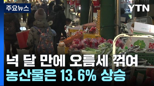 11월 물가 3.3%, 넉달 만에 꺾여...농산물 13.6↑ / YTN