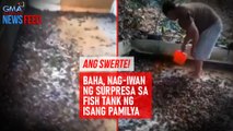 Ang swerte! Baha, nag-iwan ng surpresa sa fish tank ng isang pamilya | GMA Integrated Newsfeed