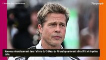 Brad Pitt poursuivi par le fisc, perd une nouvelle manche : son ex-femme Angelina Jolie enfonce le clou...