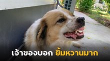 เจ้าของถ่ายคลิปไอ้ต้าวยิ้มเก่ง ยิ้มหวานขนาดนี้เป็นมิตรแน่นอน