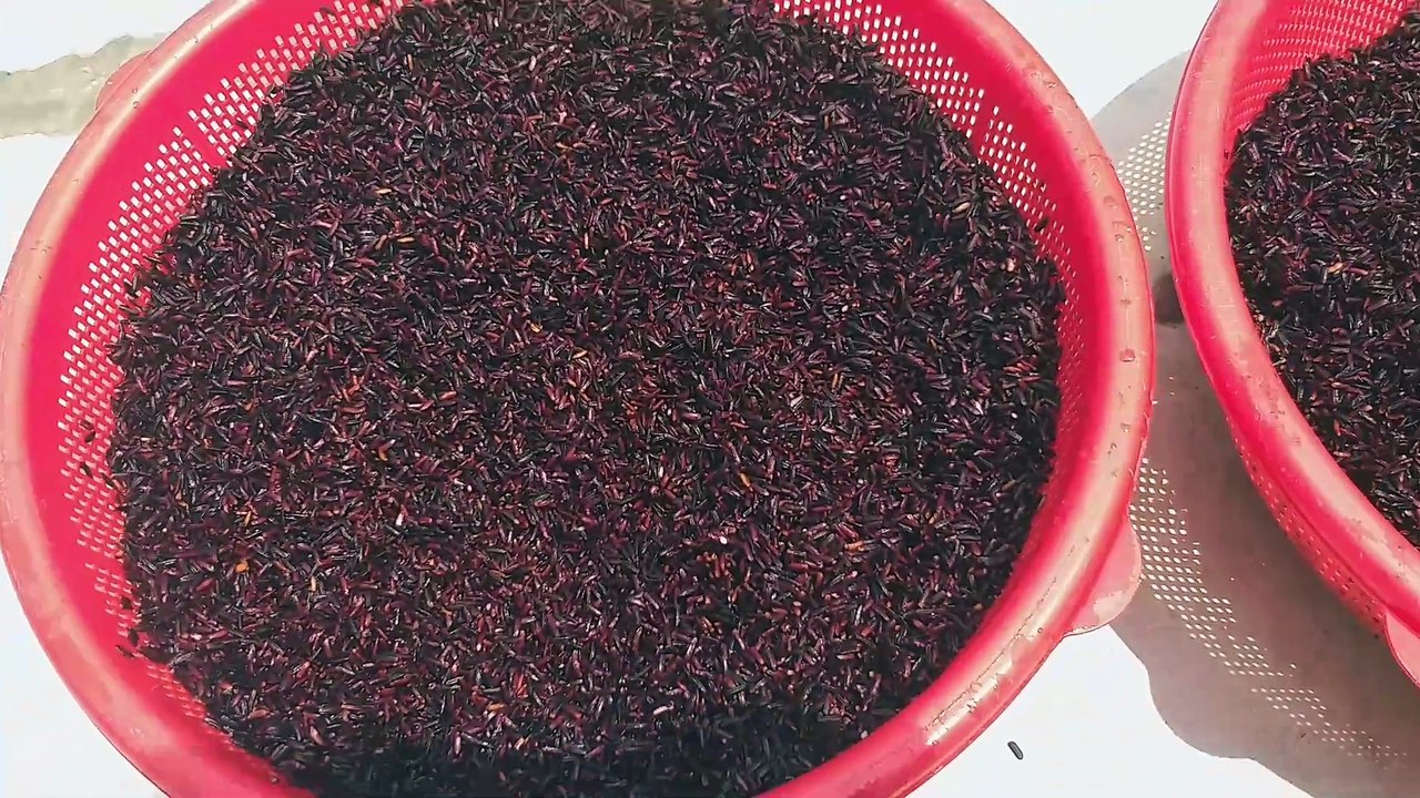 Cách làm bột gạo lứt tím than rang xay tại nhà