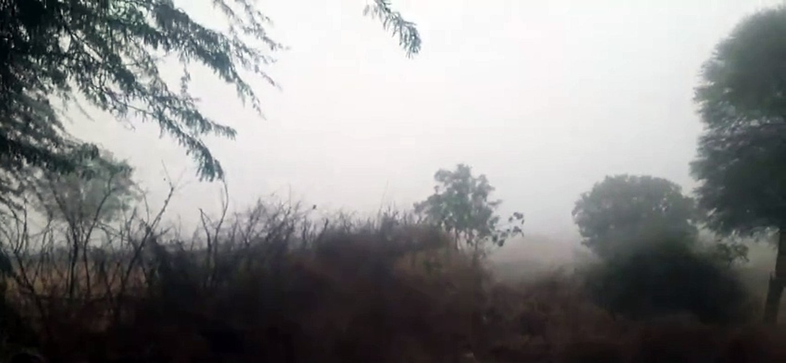 राजस्थान में यहां कोहरे के बाद गिरा पारा, बढ़ा...