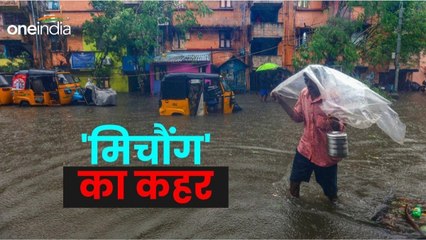 Cyclone Michaung Updates: चेन्नई में 8 की मौत, सड़कों पर टहलता दिखा मगरमच्छ