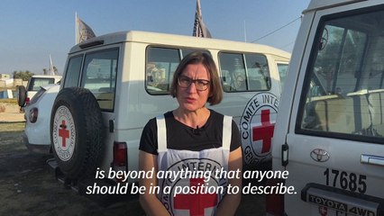 World can't 'turn away from moral failure' in Gaza says ICRC chief