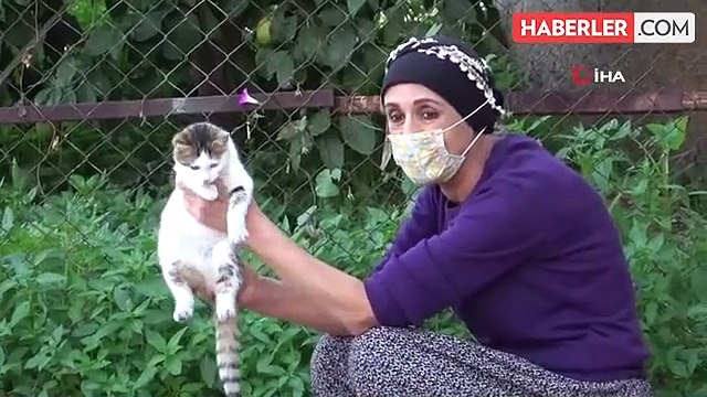 Adana'da kanser hastası kadın sokak kedilerinin annesi oldu