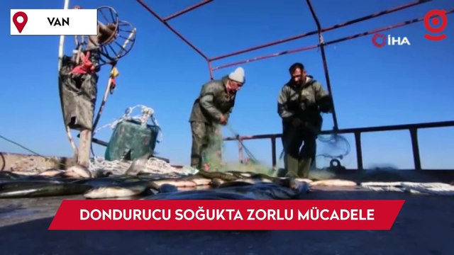 Vanlı balıkçıların dondurucu soğukta zorlu ekmek mücadelesi