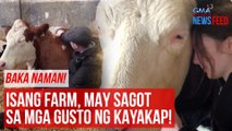 Baka naman! Isang farm, may sagot sa mga gusto ng kayakap! | GMA Integrated Newsfeed