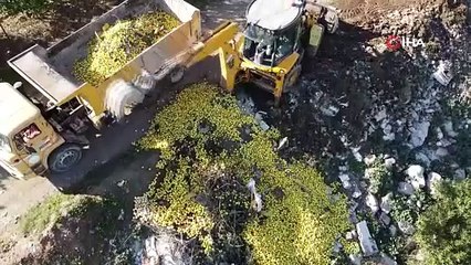 Dere yatağına dökülen tonlarca limon imha edildi
