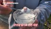 [TASTY] Dessert with ice cap strawberries?! A feast of unique strawberry desserts ,생방송 오늘 저녁 231205