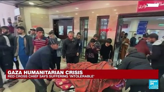Suffering in Gaza has become 'intolerable', says Red Cross chief