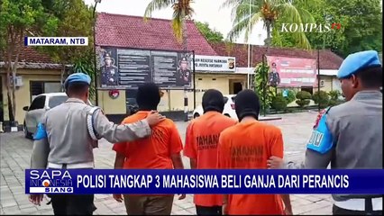 Kedapatan Beli Ganja dari Prancis Secara Online, Polisi Tangkap 3 Mahasiswa di Mataram!