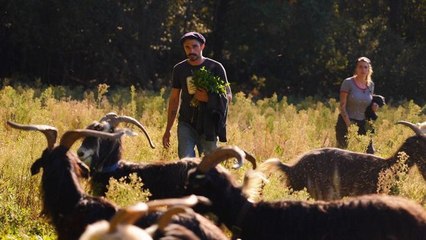 Labels : des verts et des pas mûrs