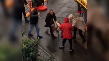 Kucağındaki köpeğe pitbull saldırdı