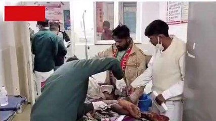 छिंदवाड़ा: मक्के से भरी बैलगाड़ी पलटी, किसान गंभीर रूप से घायल