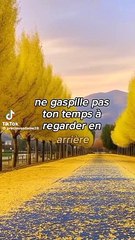 Ne gaspille pas ton temps à regarder en arrière sur ce que tu as perdu