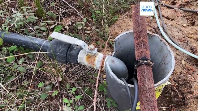 Spagna, parco di Doñana in agonia: ecco il piano per salvare le zone umide