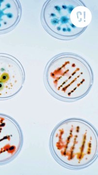 Tu prends des antibiotiques mais ça ne fonctionne pas ? Tu es peut-être victime d’antibiorésistance !