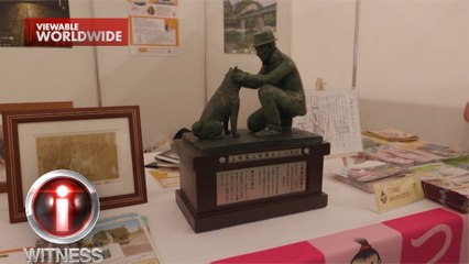 Ano nga ba ang kuwento na tumataliwas sa kuwento ng buhay ni Hachiko? | I-Witness