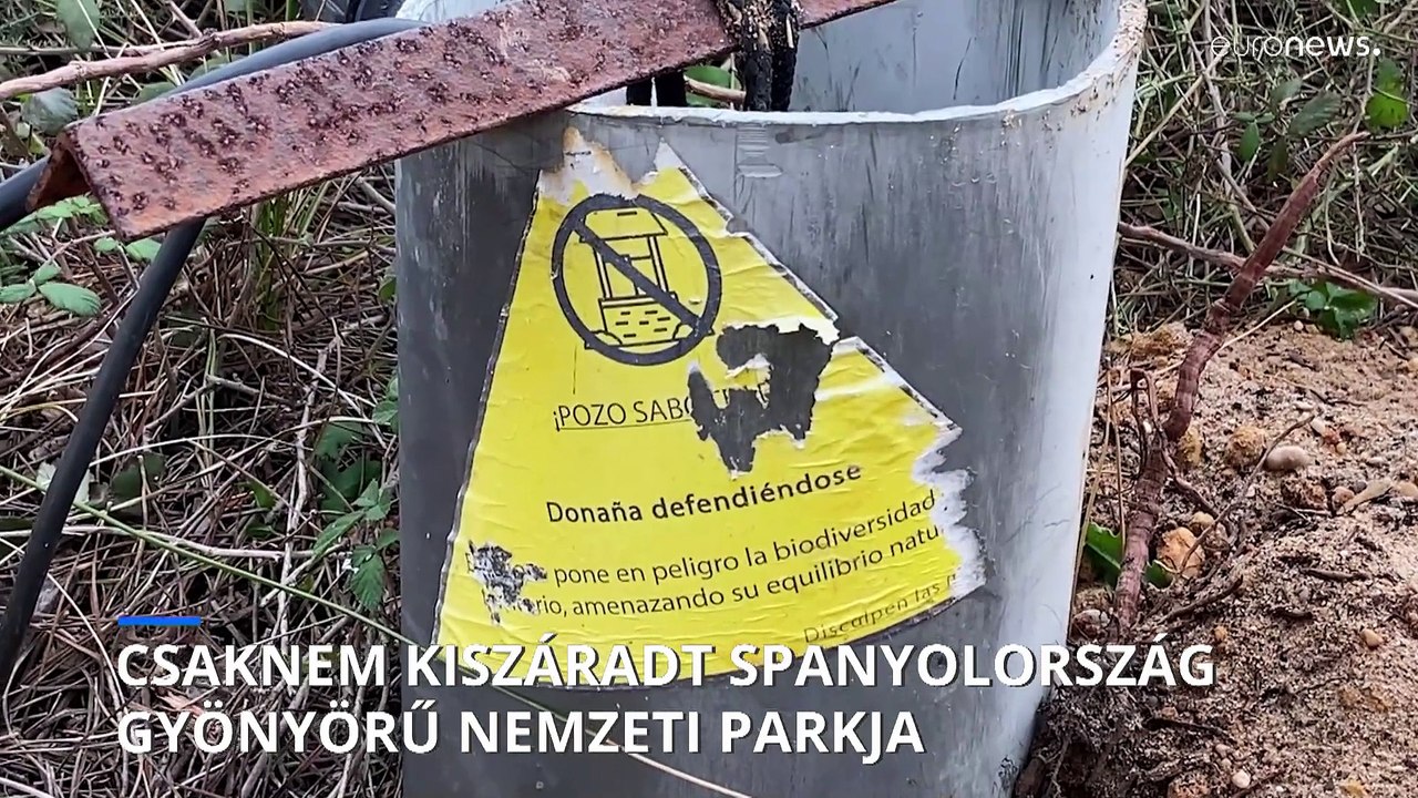 Akár teljesen kiszáradhat a spanyol Doñana  nemzeti park
