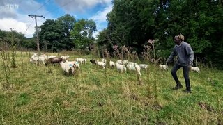 Countryfile - Poole Harbour