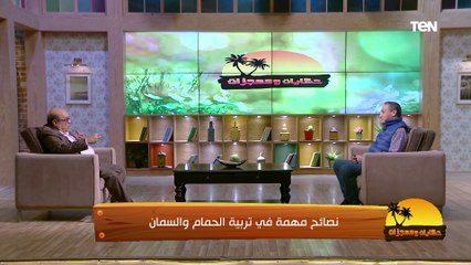 د. مصطفى بسطامي: الحمام أول جندي مخابرات.. وتربيته هواية أكثر من تجارة و60% منه في الريف