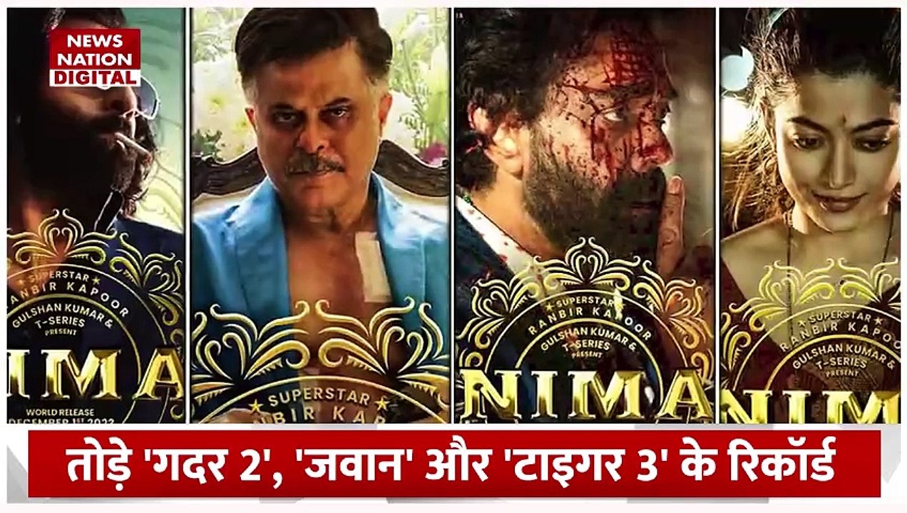 Animal Box Office Collection : बॉक्स ऑफिस पर धमाल मचा रही एनिमल