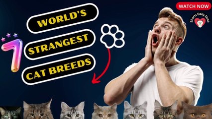 World's 7 Strangest Cat Breeds