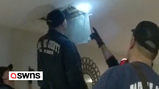 Emergency services rescue pet dog which was stuck in air vent