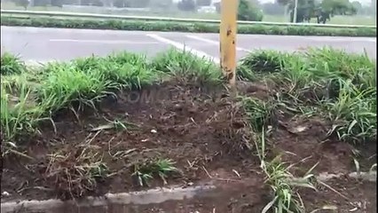 accidente de transito en ruta 66