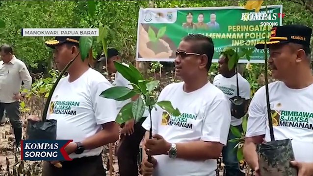 Tanam Bibit Mangrove di Sowi Manokwari Cegah Abrasi