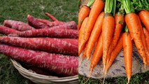 Red Carrot Vs Orange Carrot: लाल या नारंगी कौन सा गाजर है सेहत के लिए ज्यादा Beneficial | Boldsky