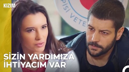 Sanki Hiçbir Şey Bilmiyormuş Gibi... - Kızım 12. Bölüm