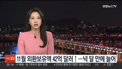 11월 외환보유액 42억 달러↑…넉 달 만에 늘어
