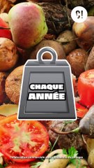 Rien ne se perd, rien ne se crée, tout se transforme