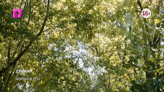 08.Комната роз.(2023)