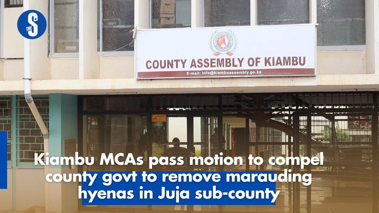 Kiambu MCAs pass motion to compel county govt to remove marauding ...