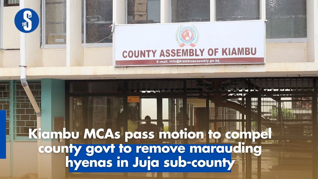 Kiambu MCAs pass motion to compel county govt to remove marauding hyenas in Juja sub-county