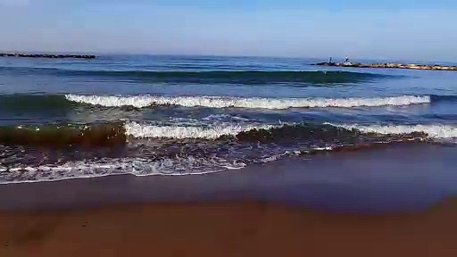 Pure Nature Collection