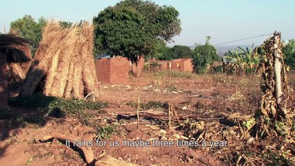 The Ants and the Grasshopper Bande-annonce (EN)