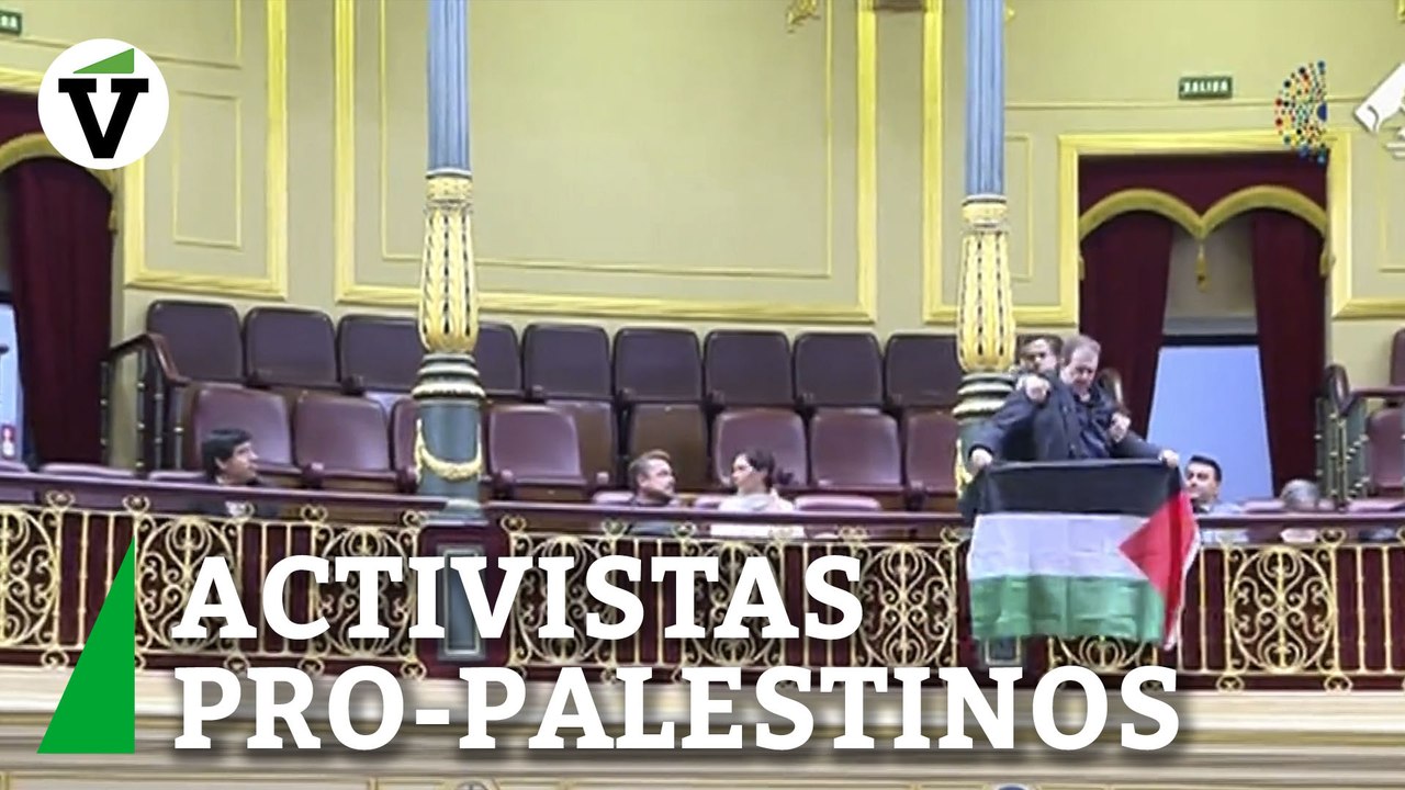 Activistas pro-palestinos interrumpen a Albares en el Congreso al grito de "¡Viva la libertad, no al sionismo!"