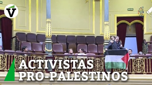 Activistas pro-palestinos interrumpen a Albares en el Congreso al grito de ¡Viva la libertad, no al sionismo!