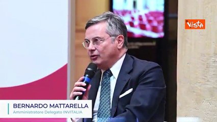 Mattarella (Invitalia): "Sosteniamo imprese in ogni loro fase"